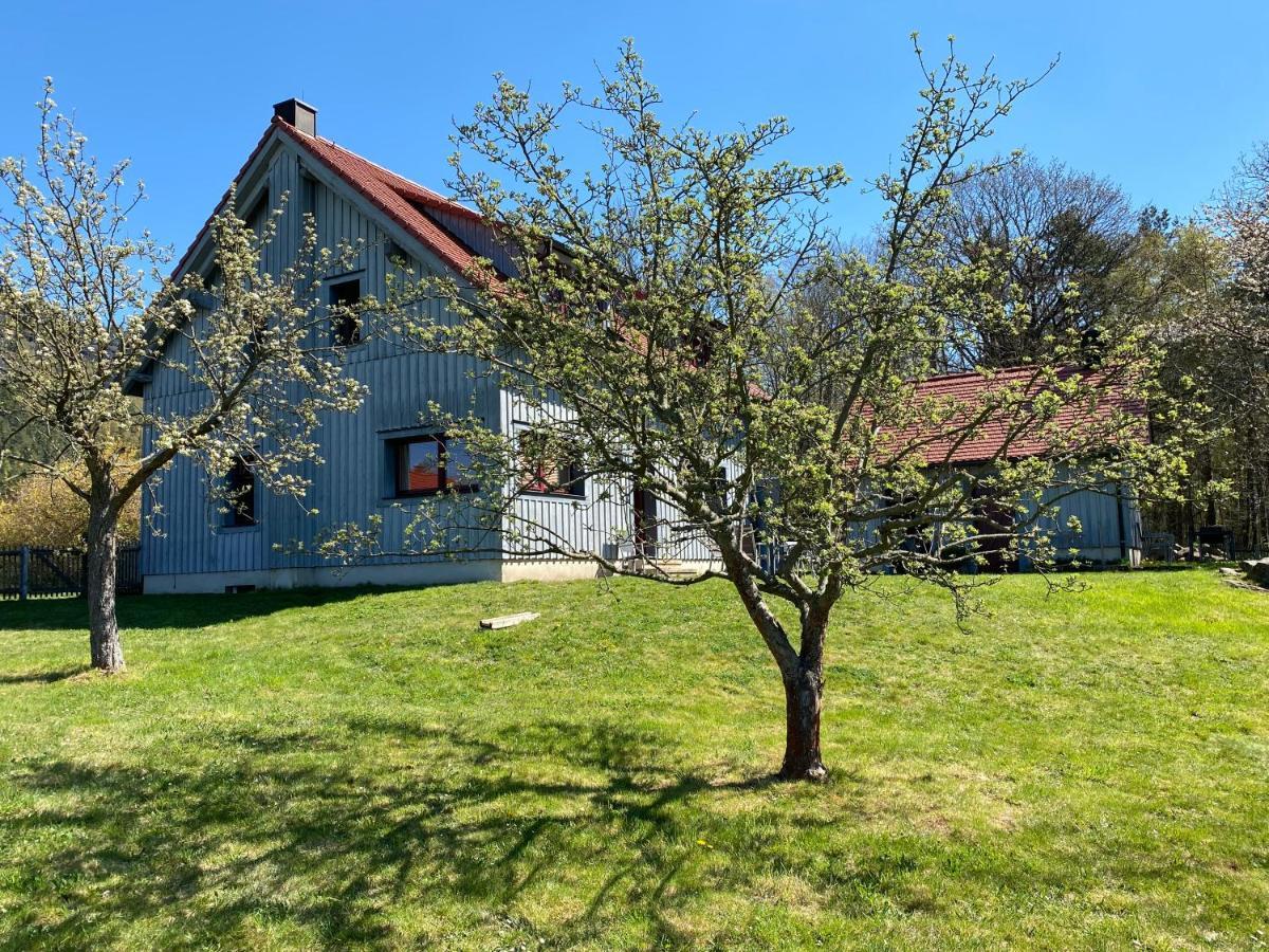 Waldhaus Am Lilienstein Apartment Konigstein an der Elbe Ngoại thất bức ảnh